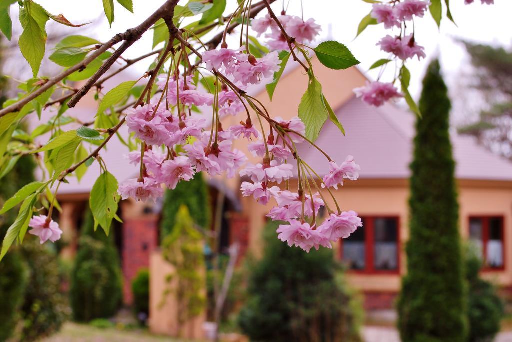 Aromatic Garden Villa La Poltrona Насу Экстерьер фото