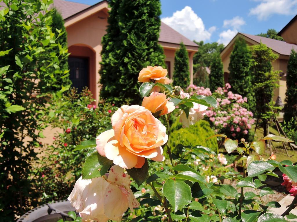 Aromatic Garden Villa La Poltrona Насу Экстерьер фото