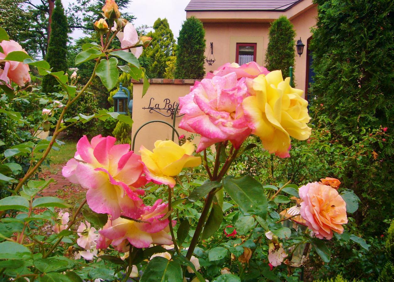 Aromatic Garden Villa La Poltrona Насу Экстерьер фото