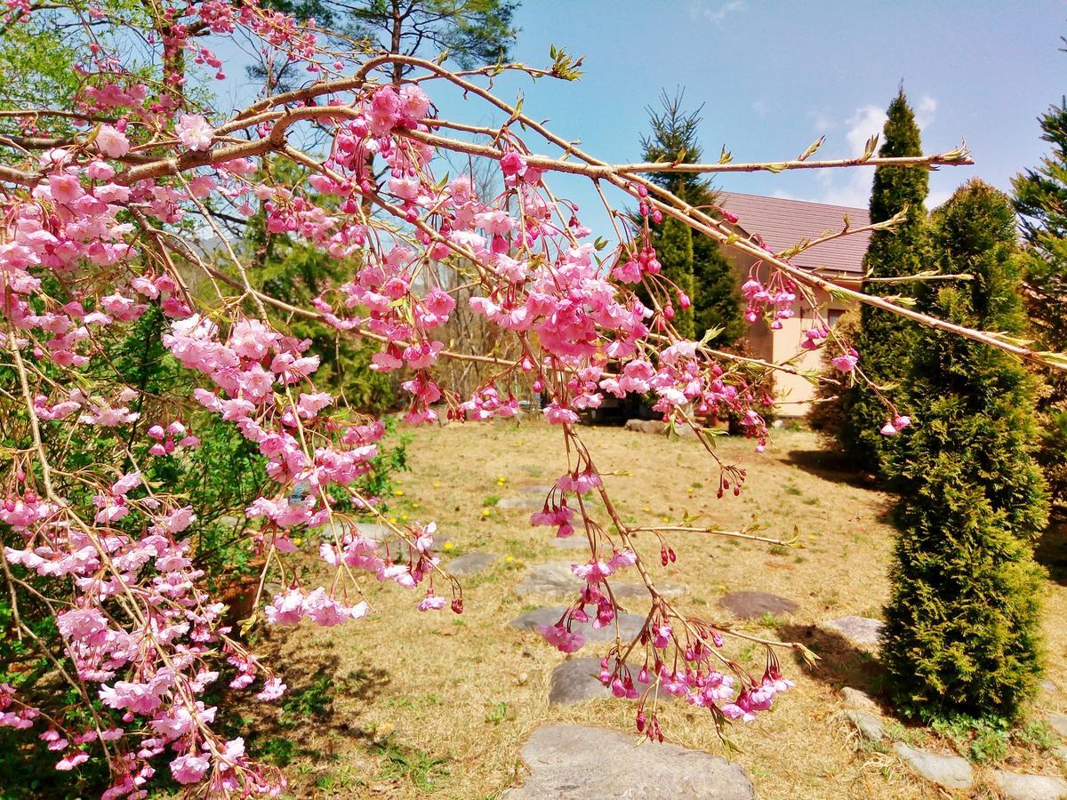 Aromatic Garden Villa La Poltrona Насу Экстерьер фото
