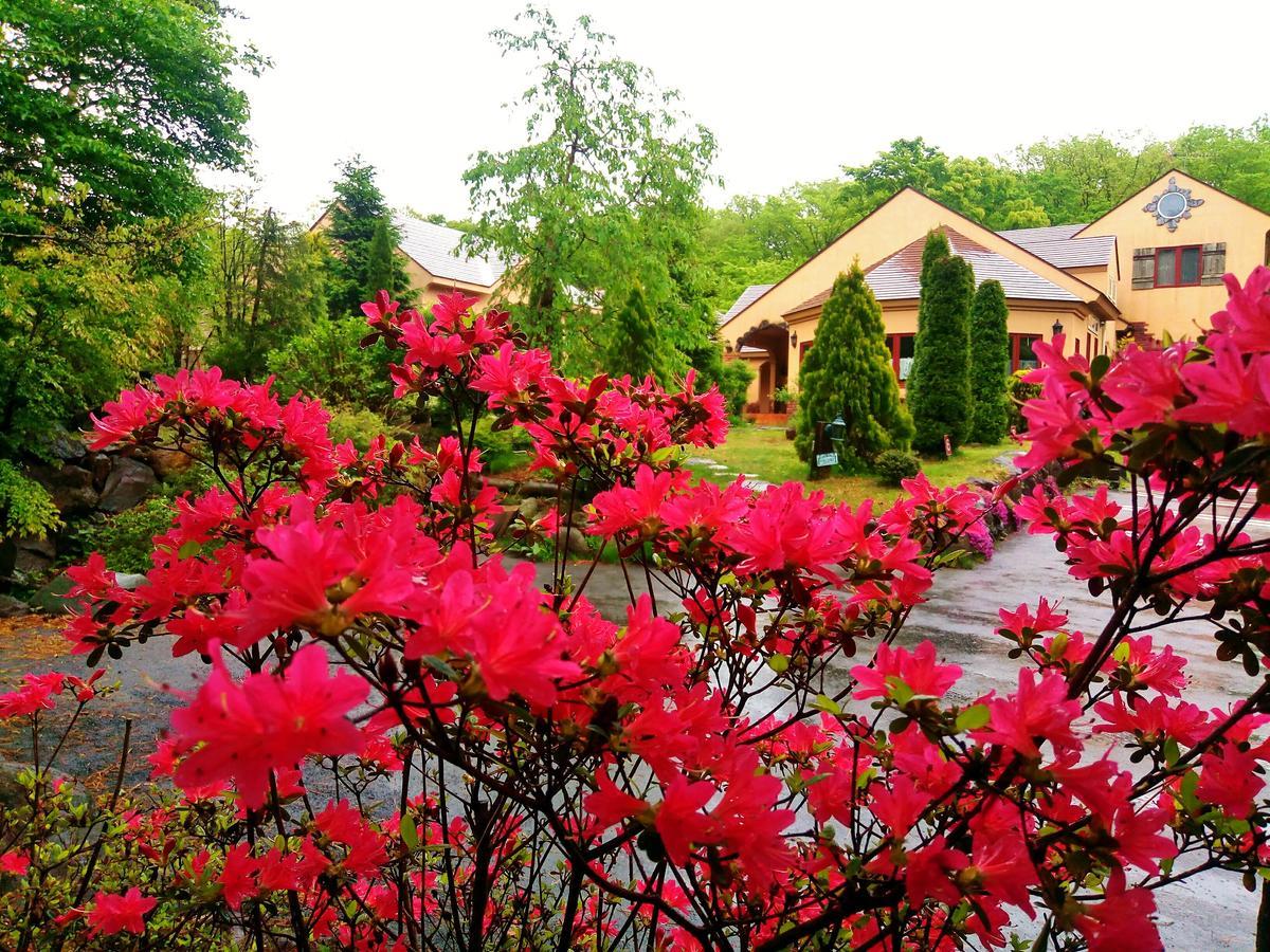 Aromatic Garden Villa La Poltrona Насу Экстерьер фото